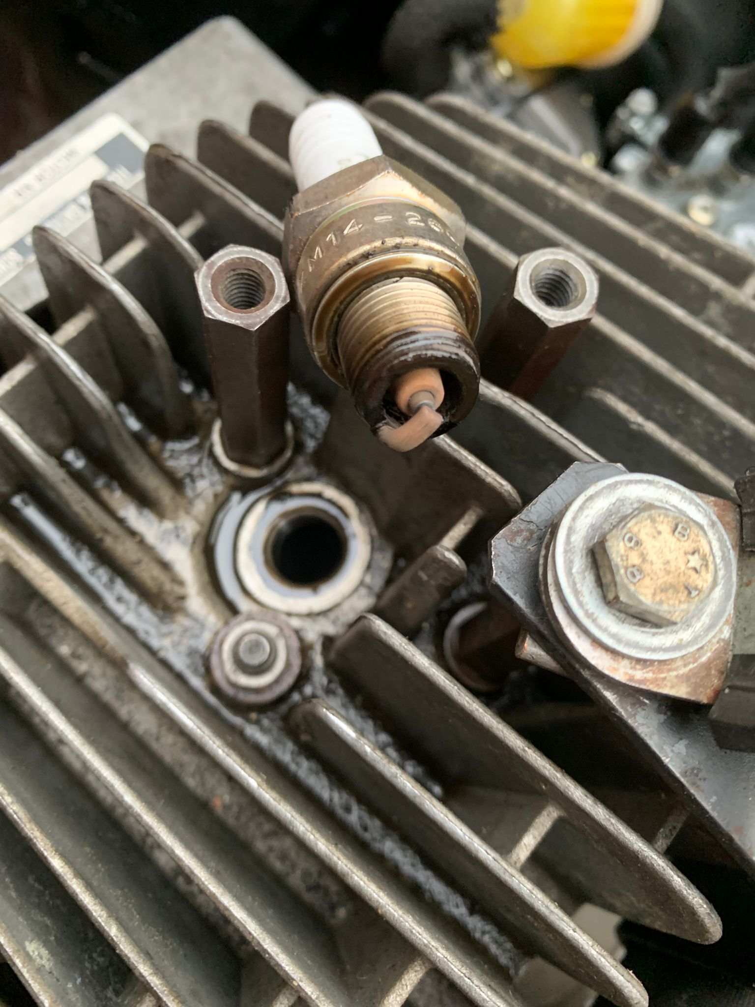 WhatsApp Image 2025-11-10 at 18.32.58.jpeg