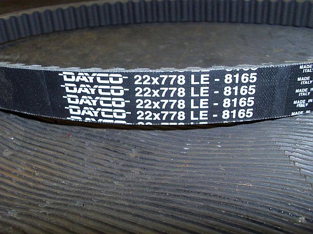 Riemen Dayco.JPG