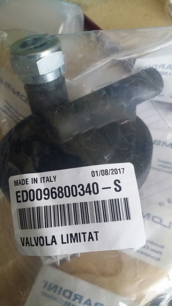 Lombardini Motor Entlüftung LDW502.jpeg