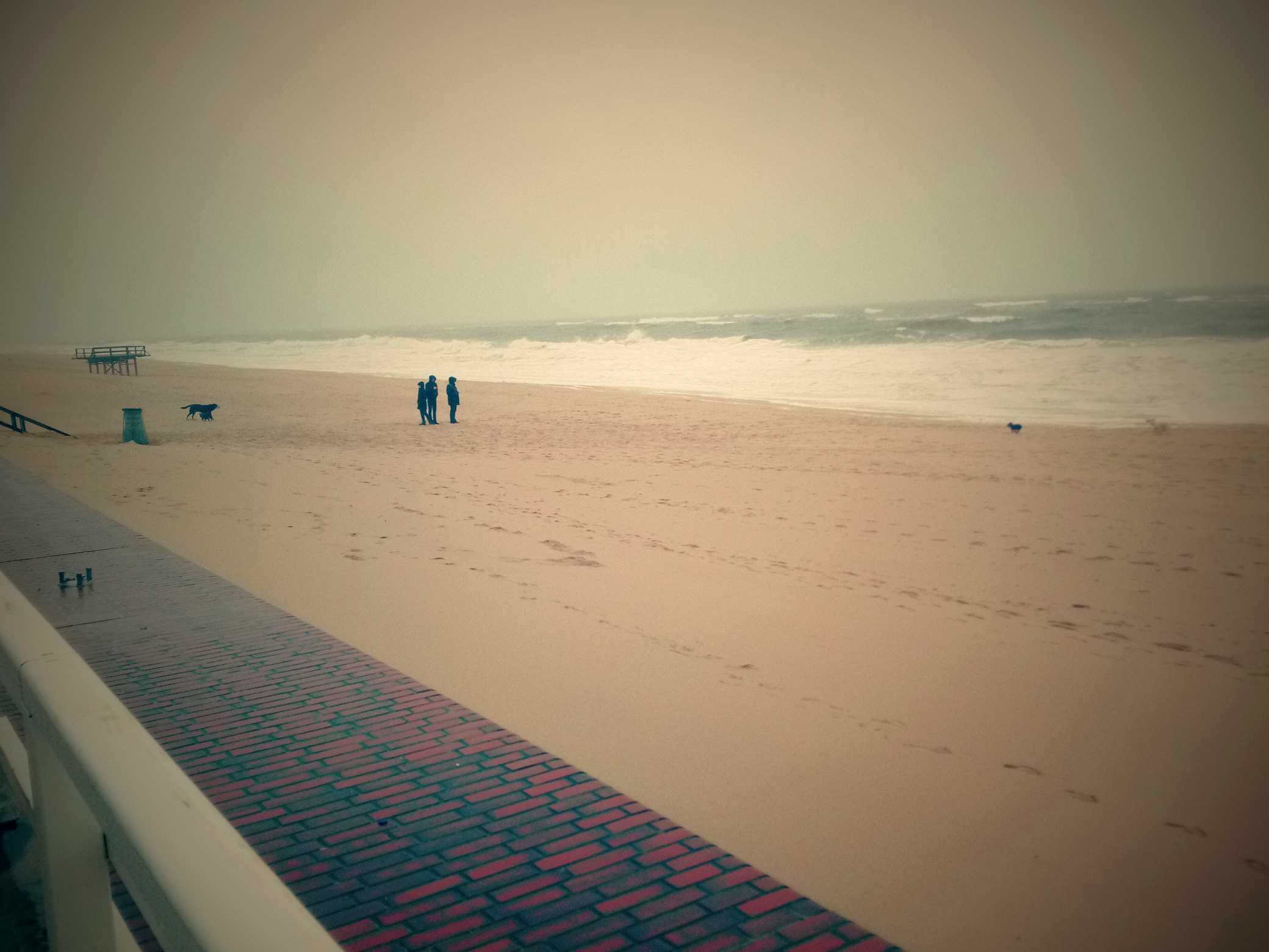 sylt3.jpg
