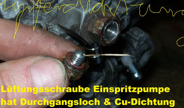 Lüftungsschraube Holzspan nur zur Demo drinnen (Kopie).JPG