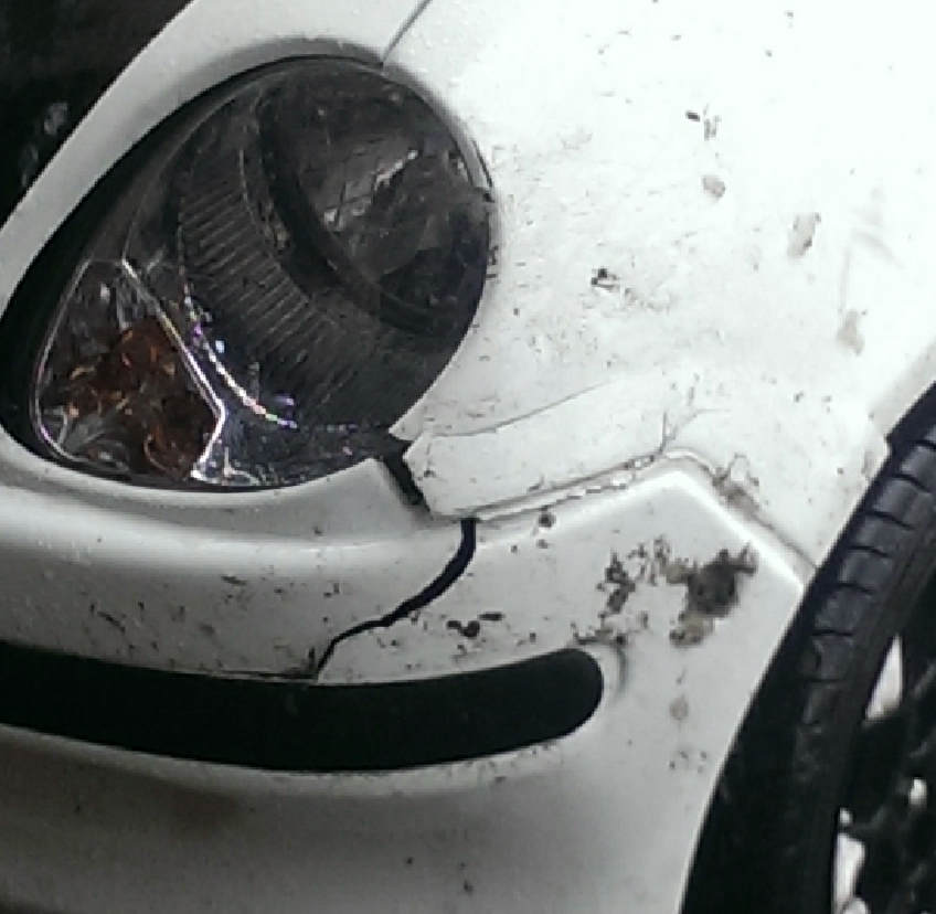 IMAG0243_3.jpg