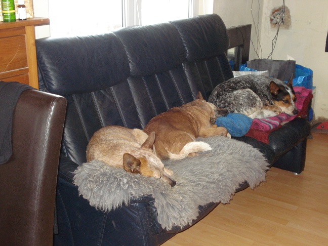 DSC06115.JPG