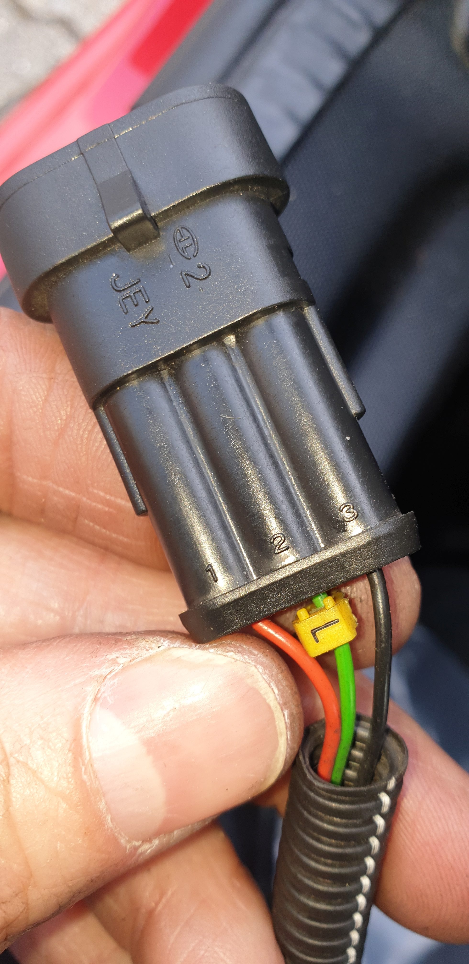 Buchse vom Sensor.jpg