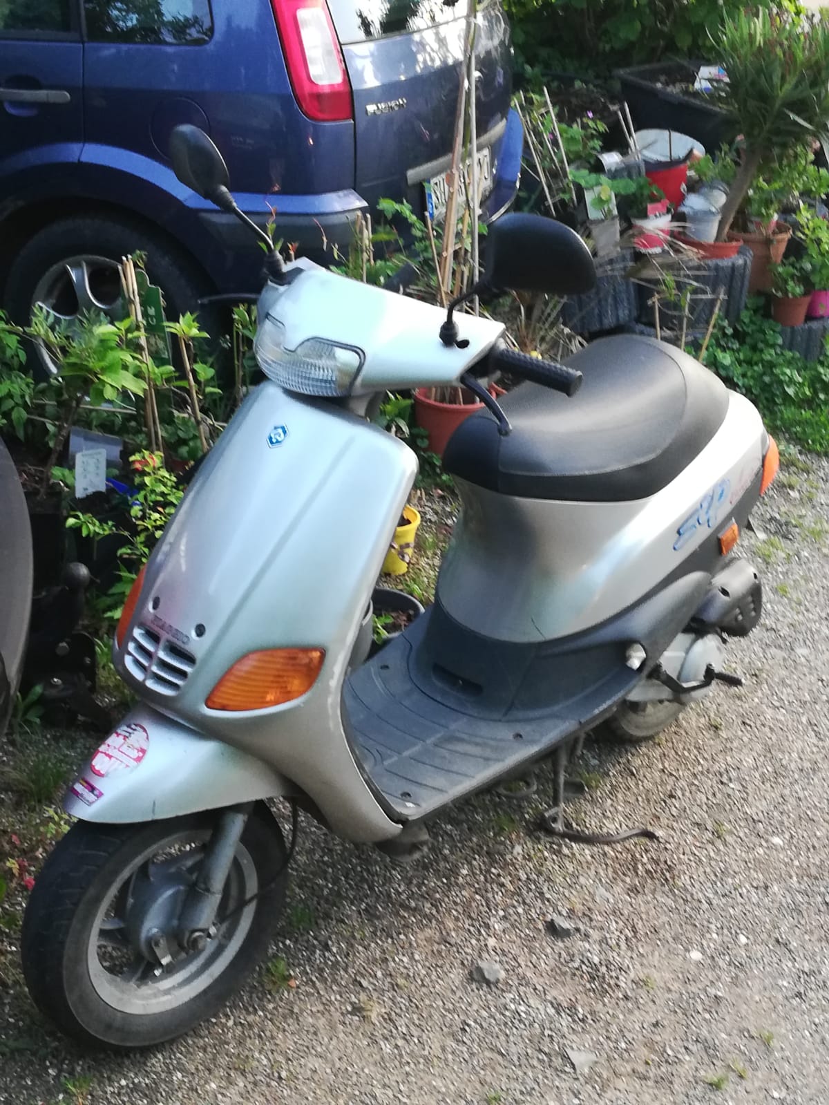 gekauft für Muschelbohrung