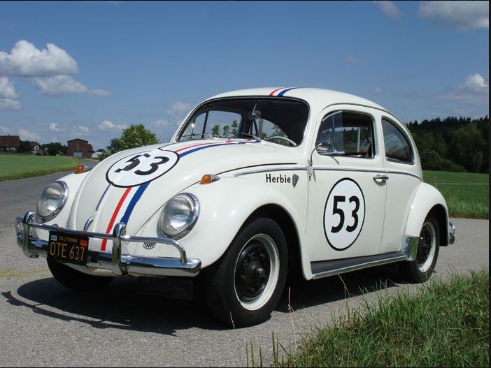 Herby der Käfer.JPG