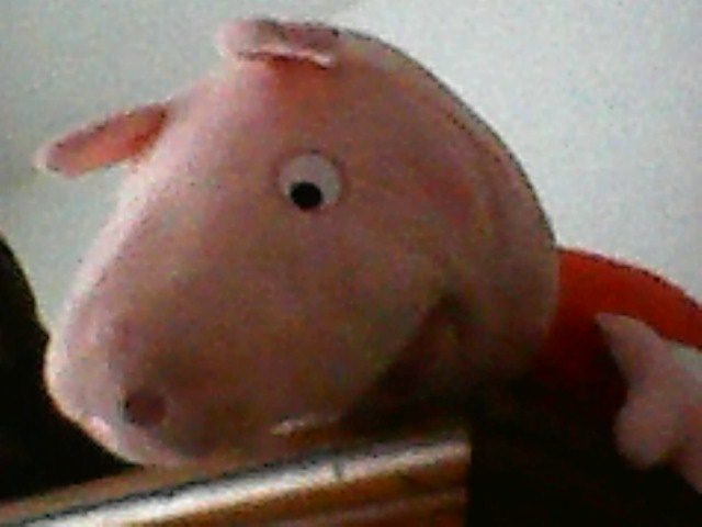 IMG0006A.jpg